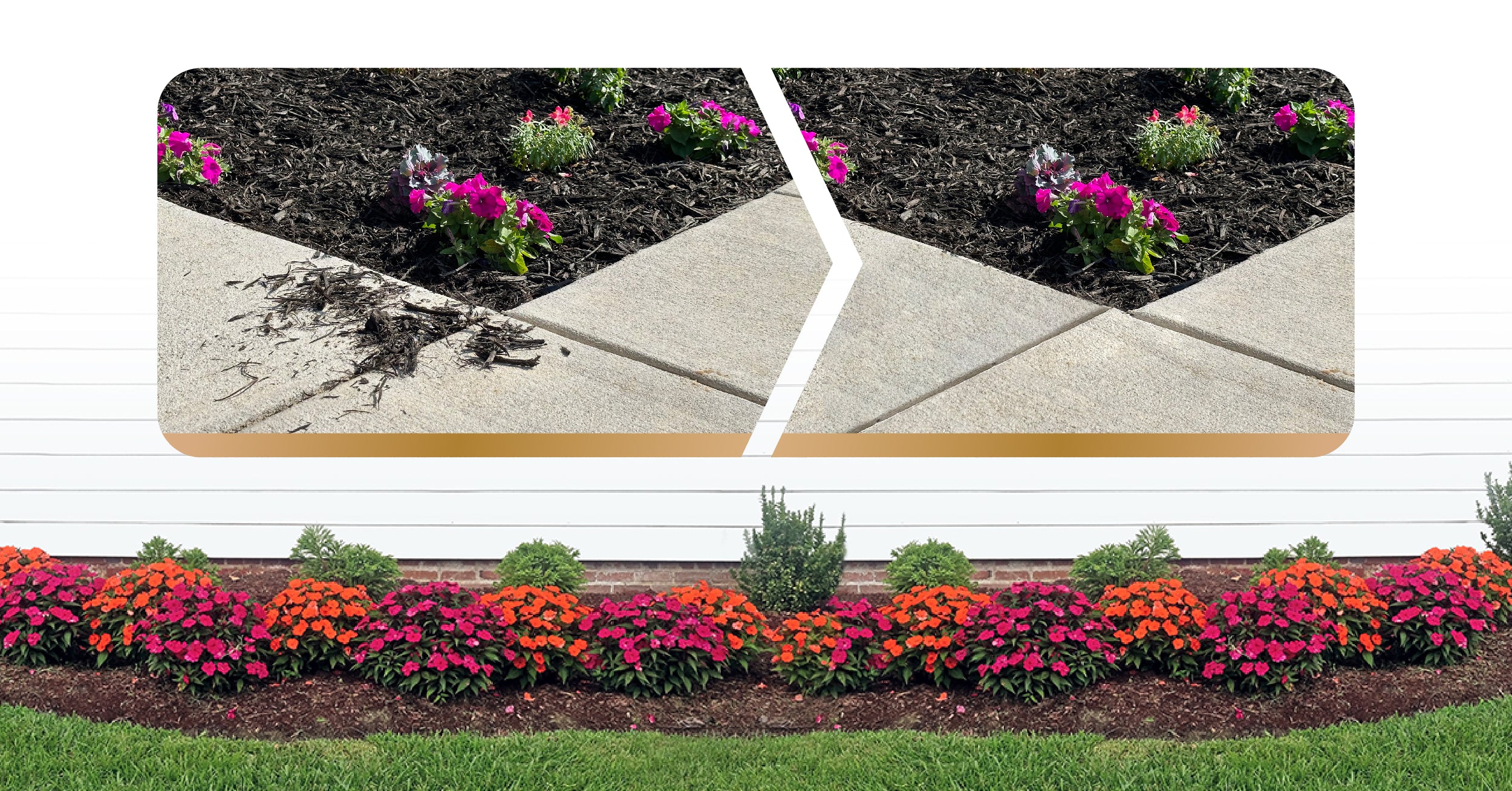 The Best Mulch Glue Options Available DOMINATOR Mulch Anchor