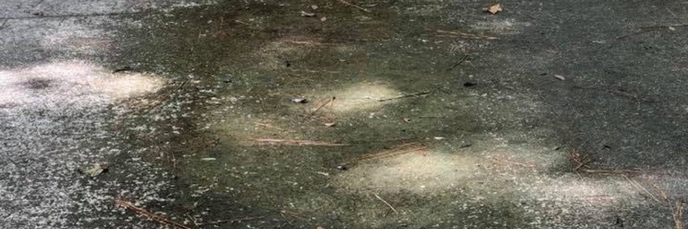 Using Sealers to Reduce Property Maintenance Costs