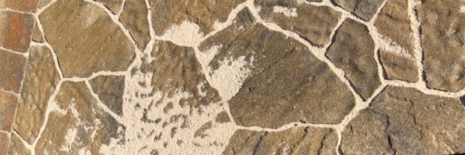 The 6 Biggest Mistakes When Using Polymeric Sand