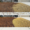 DOMINATOR XL Mulch Anchor - Best Mulch Glue for Your Landscape